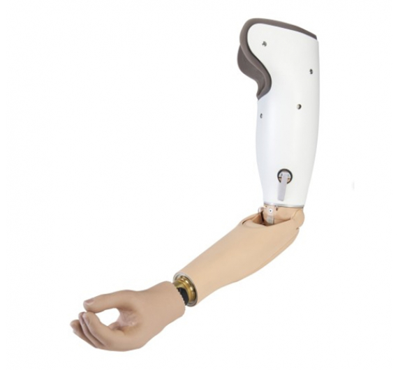 DYNAMIC ARM