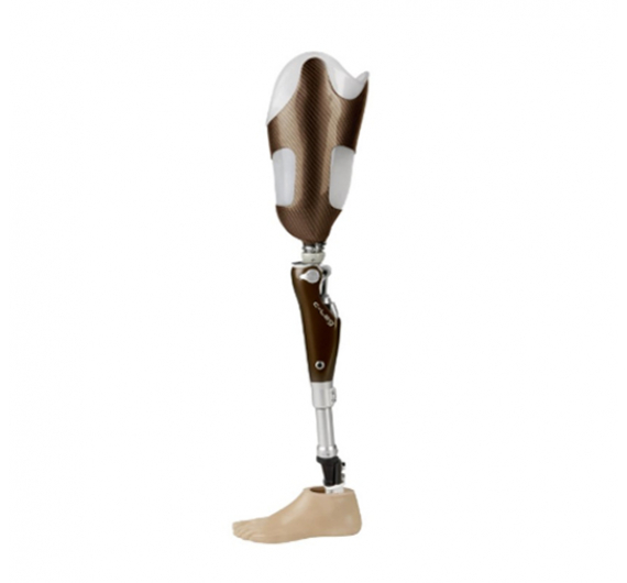 C-LEG