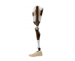 C-LEG